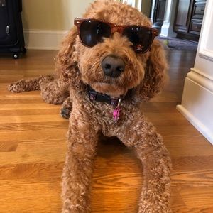 Meet your Posher, Adam